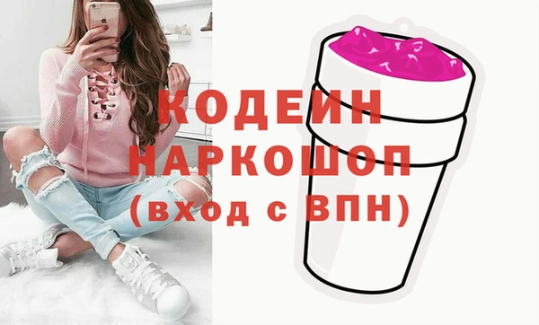 гашик Няндома