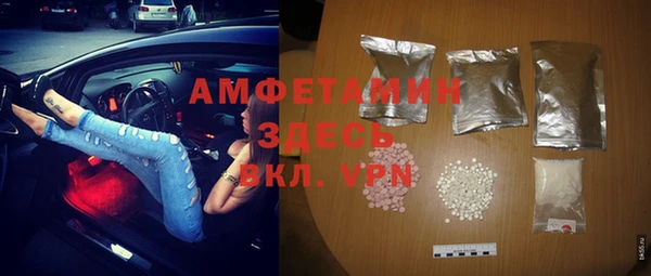 гашик Няндома