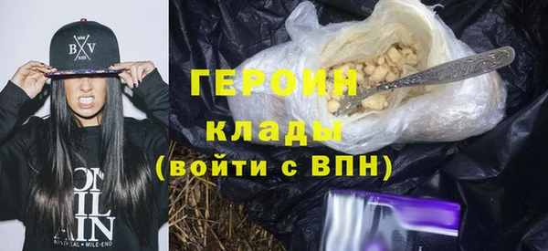 гашик Няндома