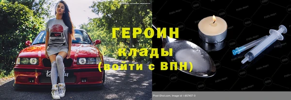 гашик Няндома