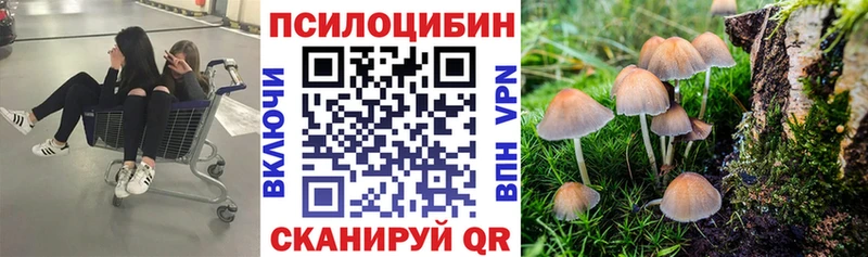 Псилоцибиновые грибы Psilocybe  как найти наркотики  Семикаракорск 