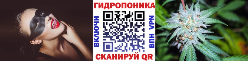 Конопля AK-47  omg ССЫЛКА  Семикаракорск  дарнет шоп 